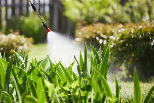24/7 Emergency Ant Control experts in Warsaw, IN